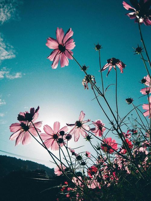 最近报了摄影兴趣班，学了不少摄影基本知识。为完成老师作业，也为提升水平，我到处找