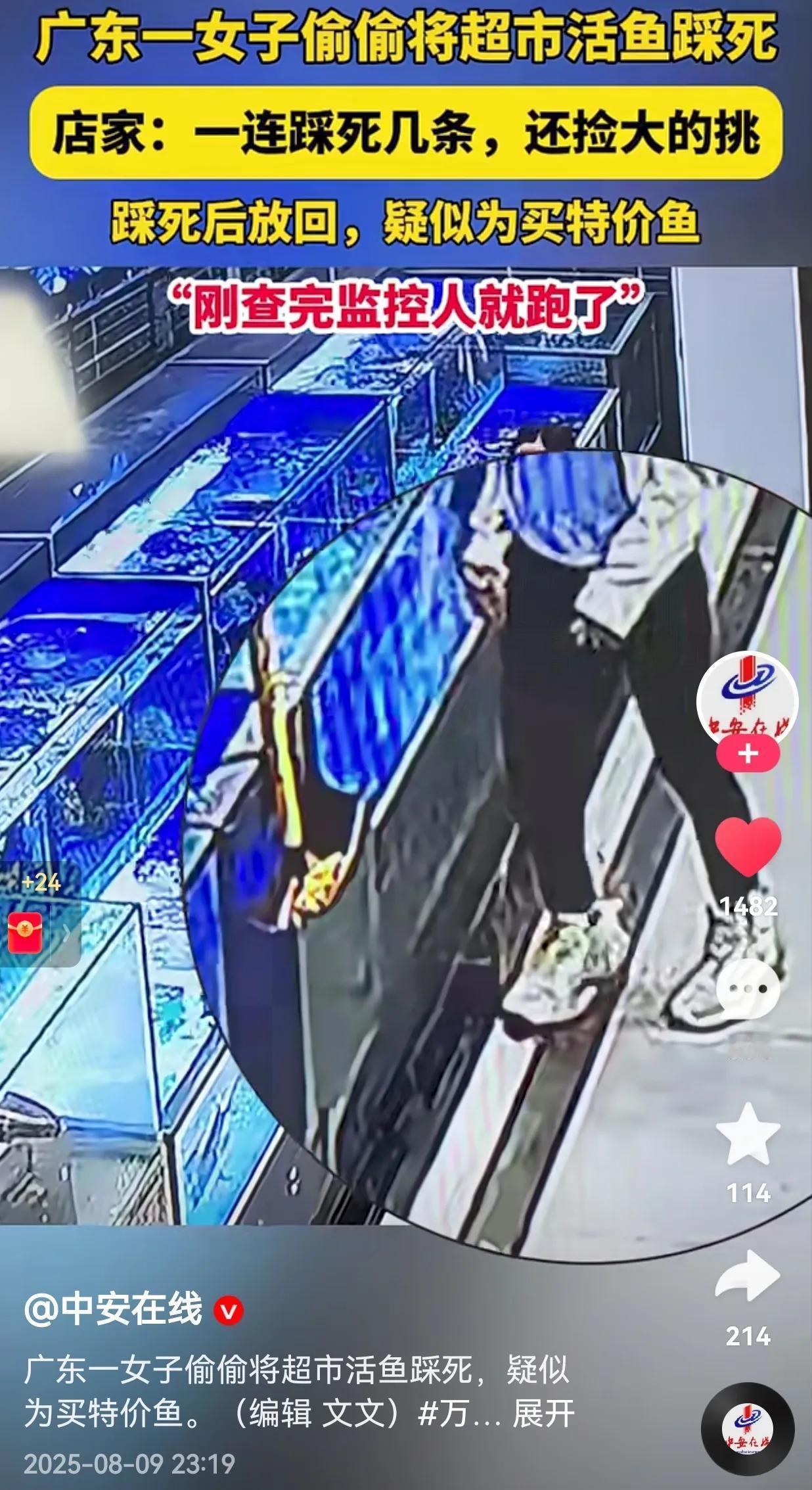 真的是占便宜没够！一女子偷偷将超市的活鱼踩死，店员看监控发现女子的行为后，想找女