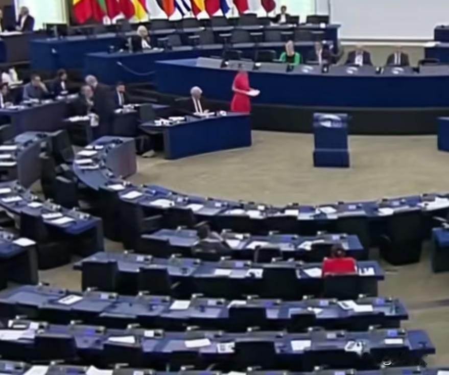 驻欧盟使团就欧洲议会允许萧美琴等“台独”头面人物在欧洲议会大楼进行“台独”分裂活