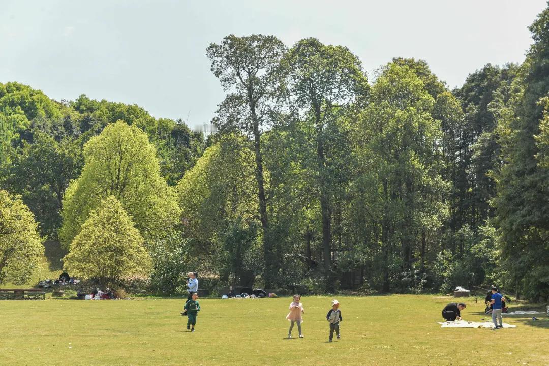 成都新晋溜娃宝藏地！10000+㎡草坪、森林飞瀑、荷塘花丛、秋千滑梯，解放双手轻