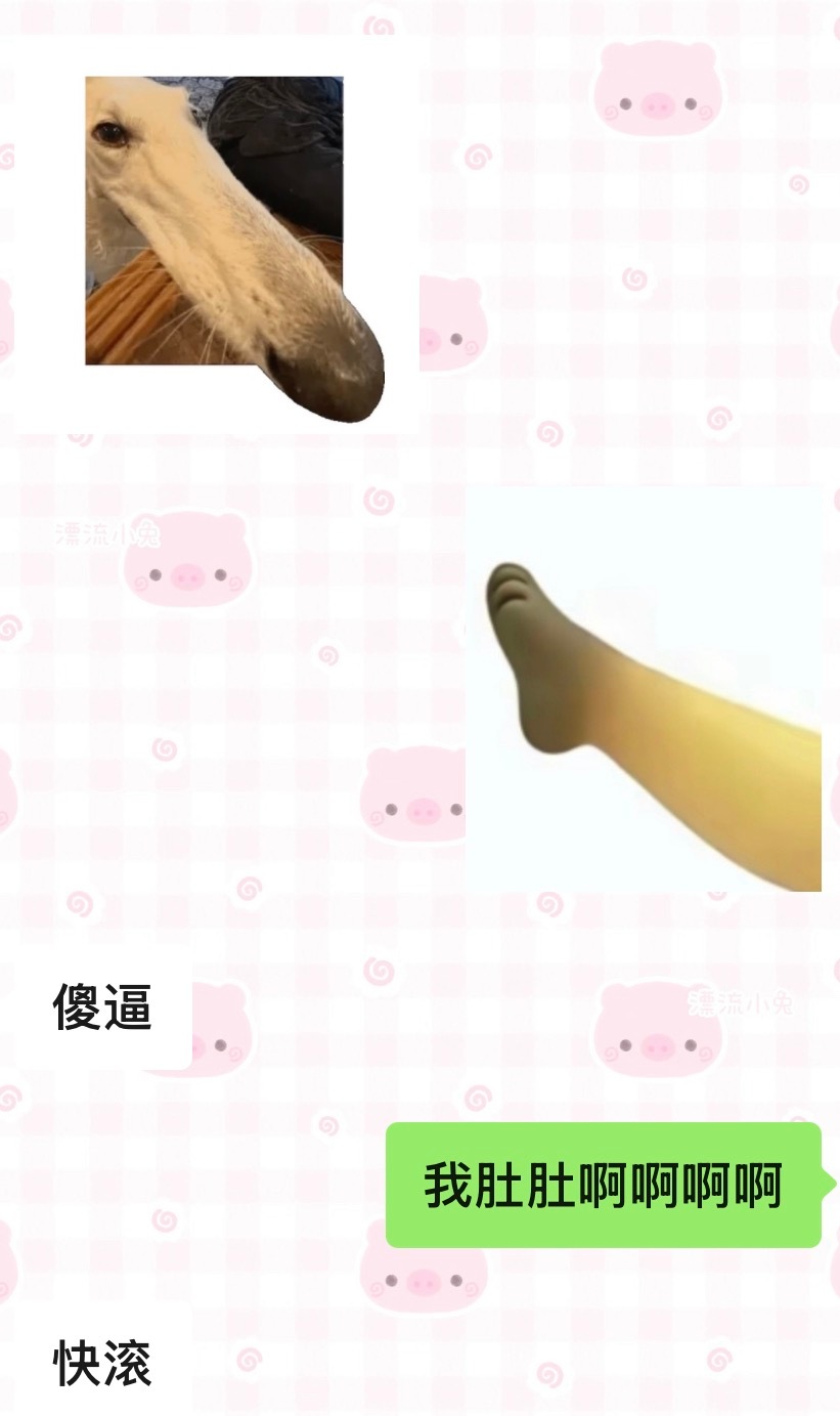 奖励你了