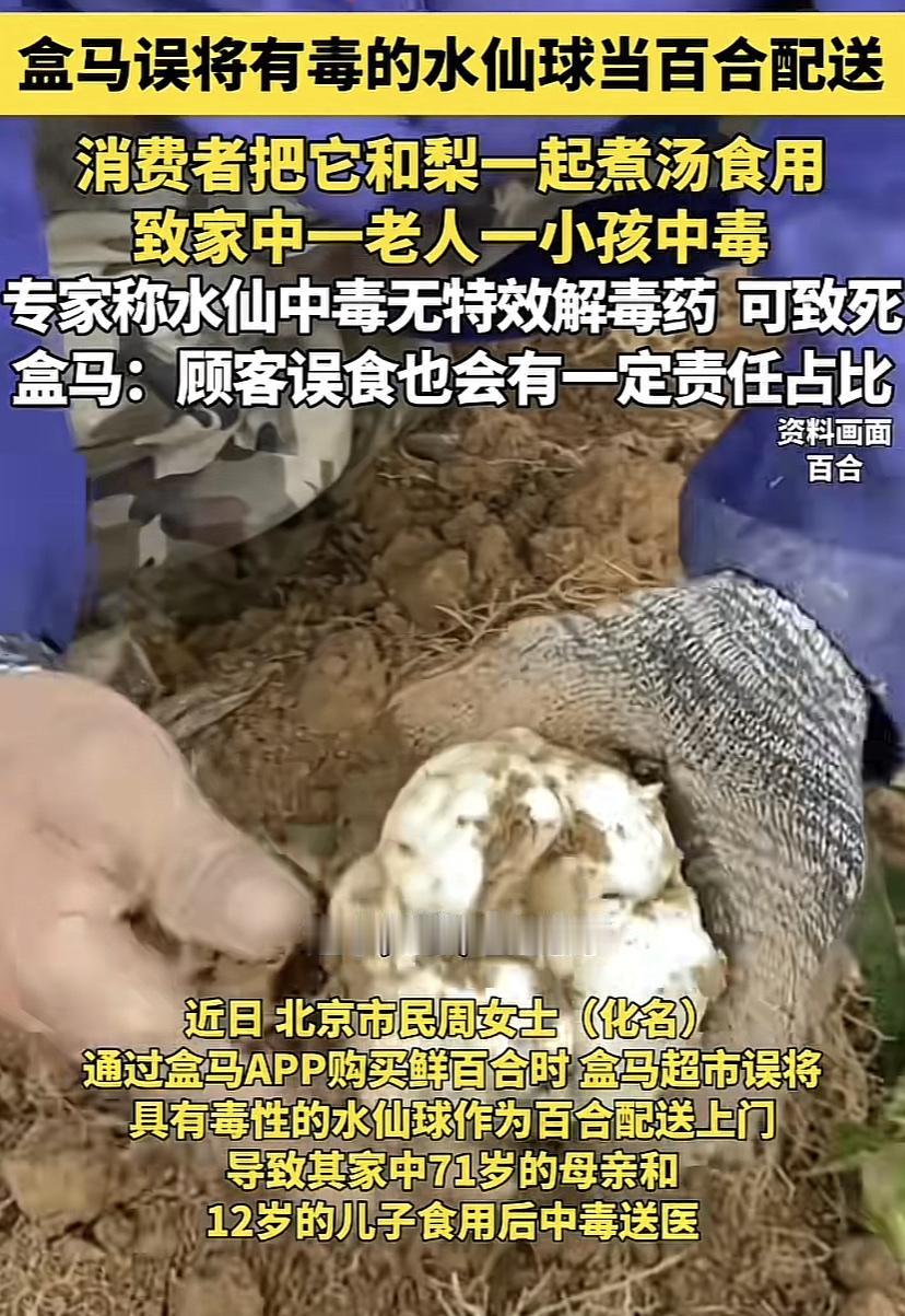 盒马超市将水仙球当做百合进行配送，导致消费者食用两人中毒！盒马方面表示只愿意