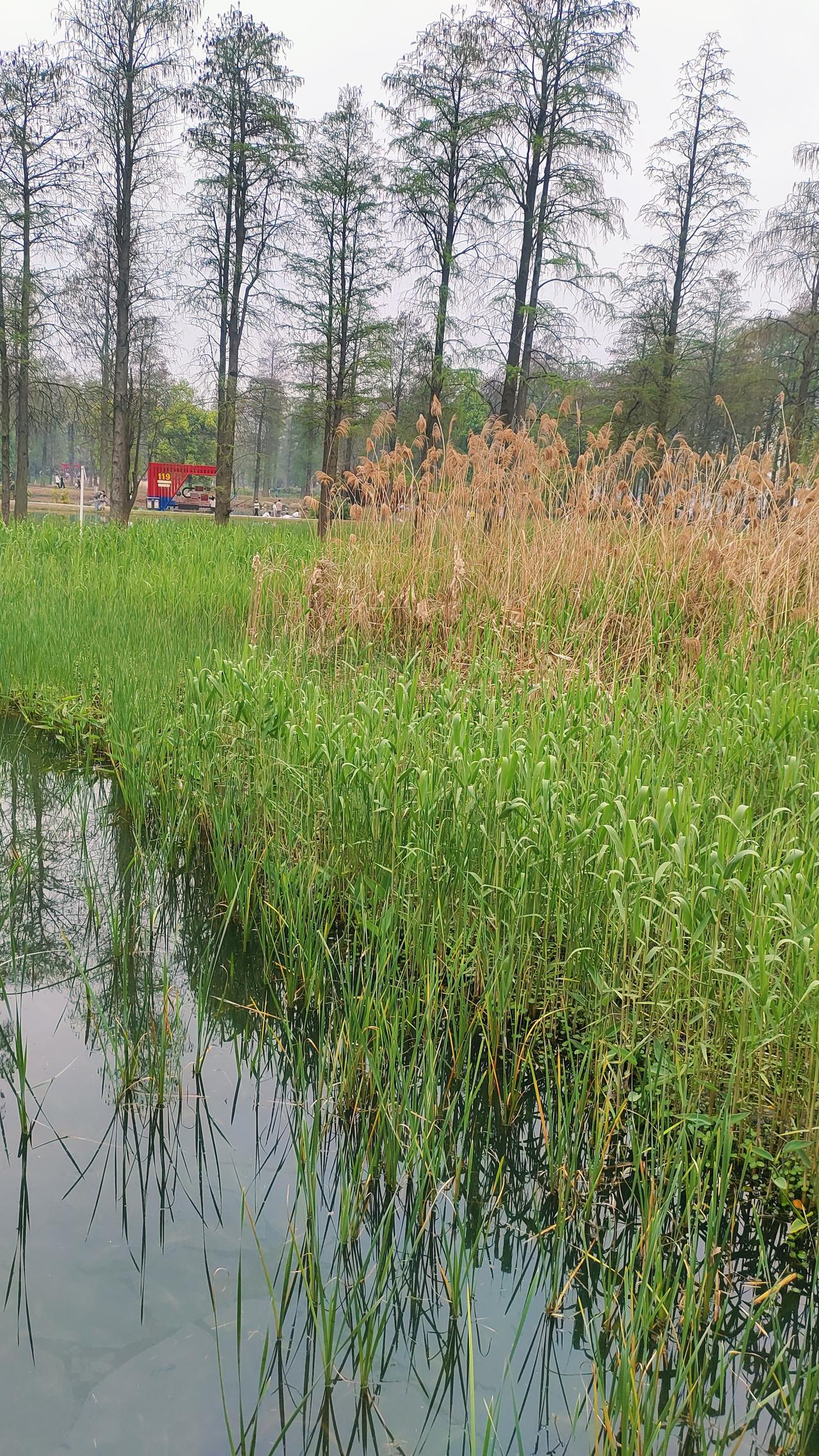 做人，到死都不要炫耀，要知道很多事情都是见光死。不要去挑战人性，人性