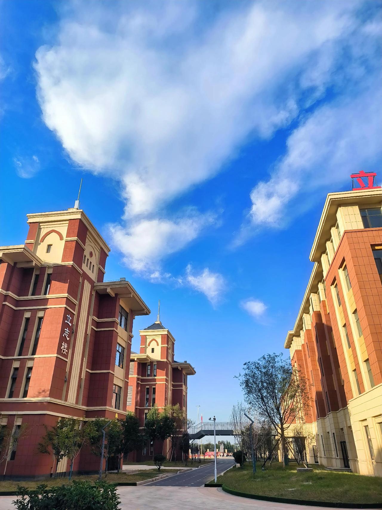 我们忽视了一个很重要的问题。那天，我与小王老师打电话。这段时间我们指导两位参