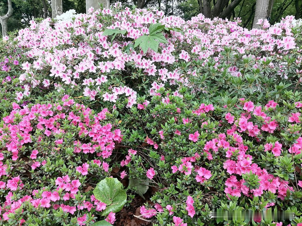 职场从来不全是凭能力论高低。一个人能力越强，未必前程越顺，有时迎来的不是赏识提