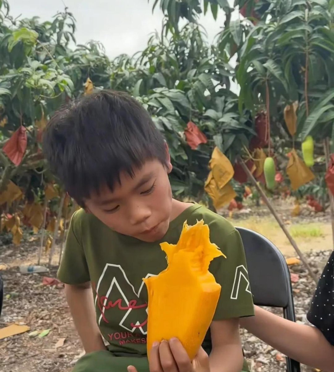 亮哥开直播卖货了。家人齐上阵，姐姐、姐夫、爸妈都在旁边看着。他拿起芒果啃了一口，