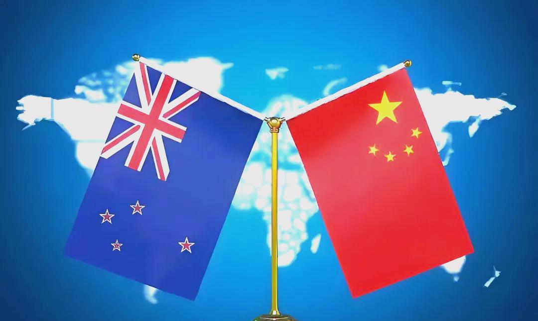 这是急了？新西兰主动派人找我们了   12月8日，李成钢国际贸易谈判代表兼副