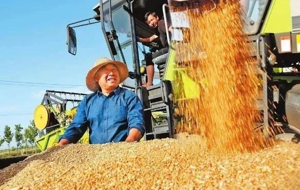 如果全球都停止出口粮食，中国能否自给自足？就这么说吧，中国停止粮食供应，全球至少