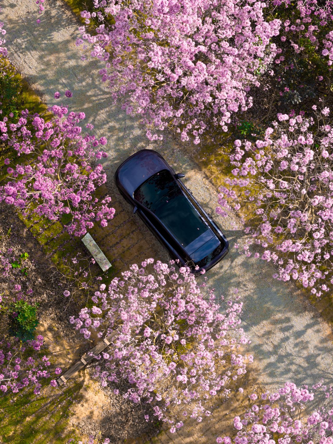 配了宁德时代电池的东风日产NX8来了，主打20万级家用SUV市场。哇塞，东风日