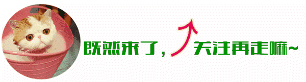 冬吃萝卜——青萝卜赛鸭梨