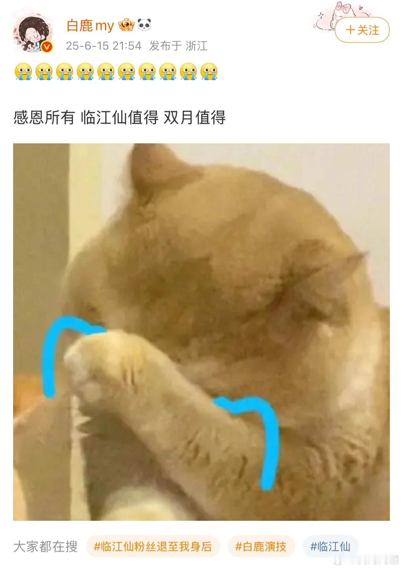 白鹿也真是牛逼，不愧是于正的宝贝女儿，比起于正算是青出于蓝了[捂脸哭][捂脸哭][允