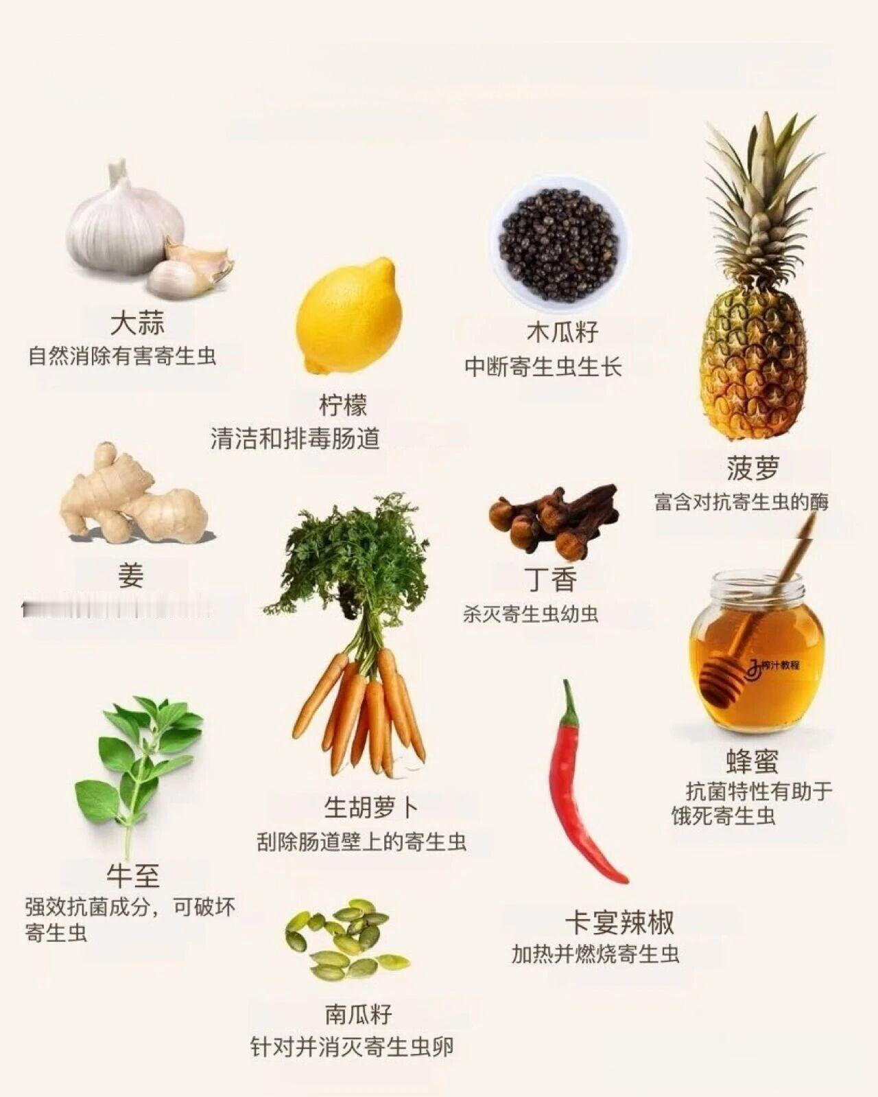 根据医学资料，以下食物可能对驱赶肠道寄生虫有一定辅助作用，但需注意食物不能替代药