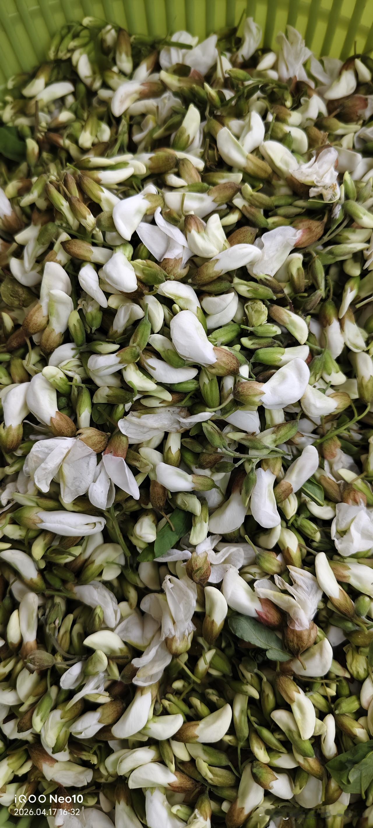 槐花应该是春季最后吃的，先吃了豌豆苗，苦曲菜，构树穗今年是吃的最多了，现在冰箱里