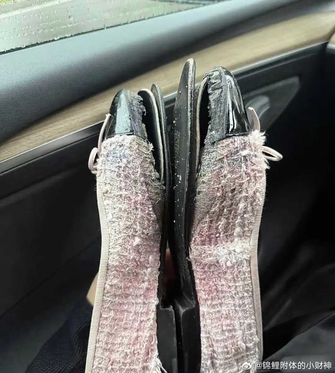 巴黎世家不骗有钱人，我觉得挺好的！你觉得呢？