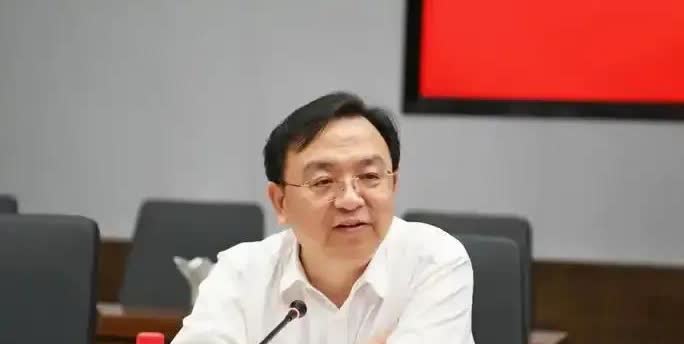 说一个冷知识，比亚迪负债率第一，那又能证明什么，比如我欠了我的1号子公司1一个亿
