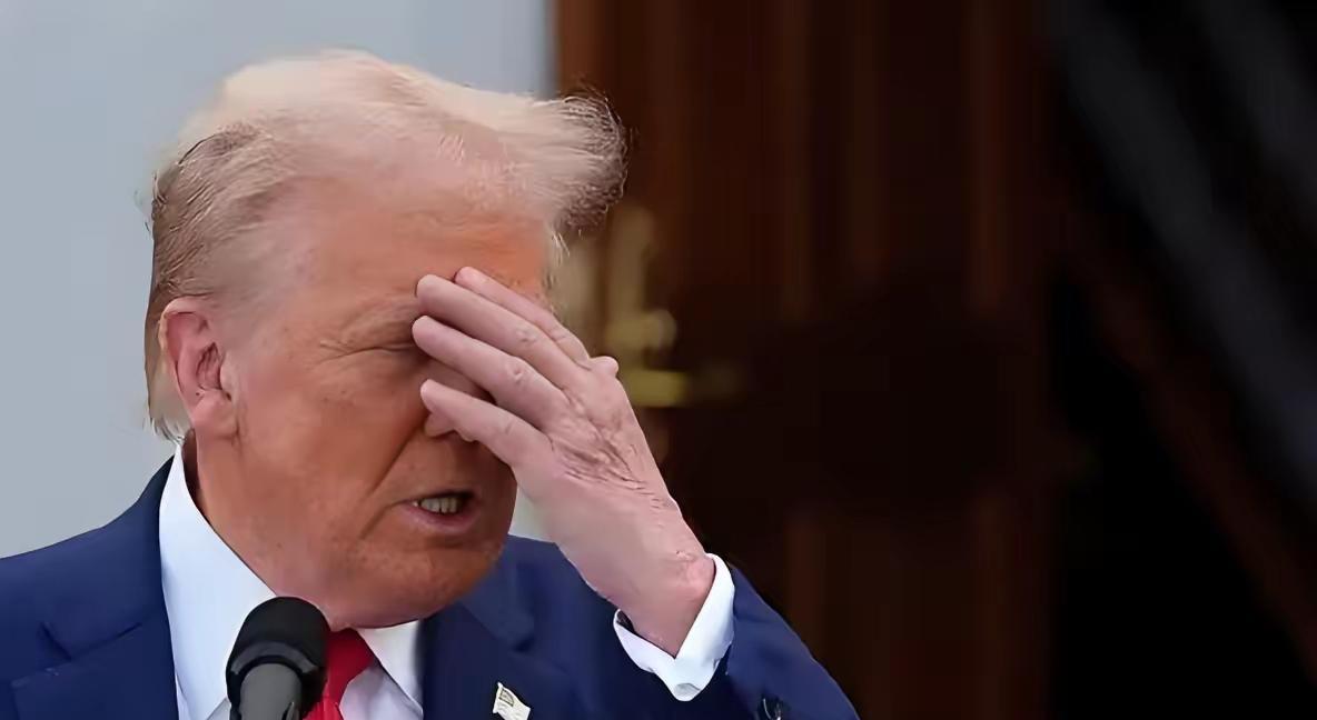 鹰酱：龙哥，你到底想干嘛？龙国：我怎么了？鹰酱：你看你们家整出这些玩意，是不