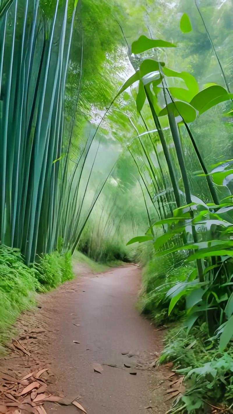 天蝎座最独特的心情疗愈方式就是沉默但是往往这种自我封闭让别人误以为她们是在冷