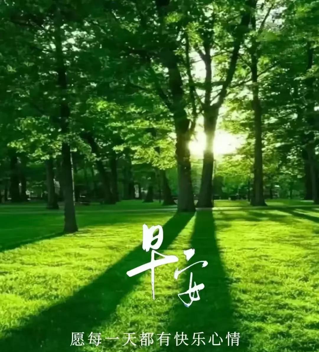 早安心语：拥时光而暖，享岁月安然晨曦破晓，新的一天轻盈启幕。于时光长河的幽静处