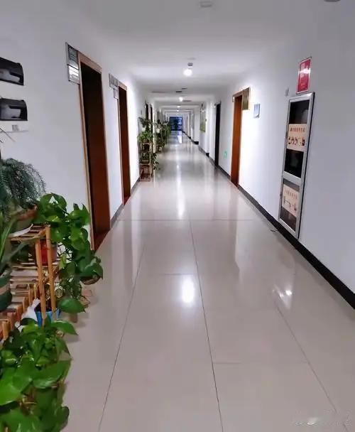 不管是考公还是考编，大家最关心的就是晋升和工资！今天就扒透两个职业的真相：公务员