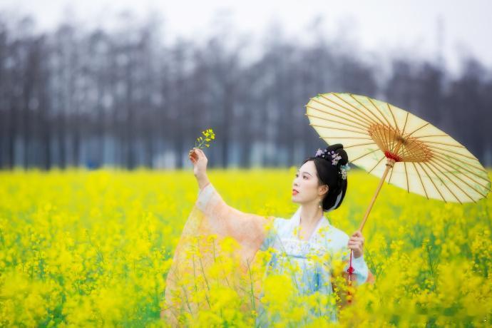 🐯属虎人，2026年运势大揭秘！🔮恭喜属虎人，2026年运势如虎添翼，寅午半