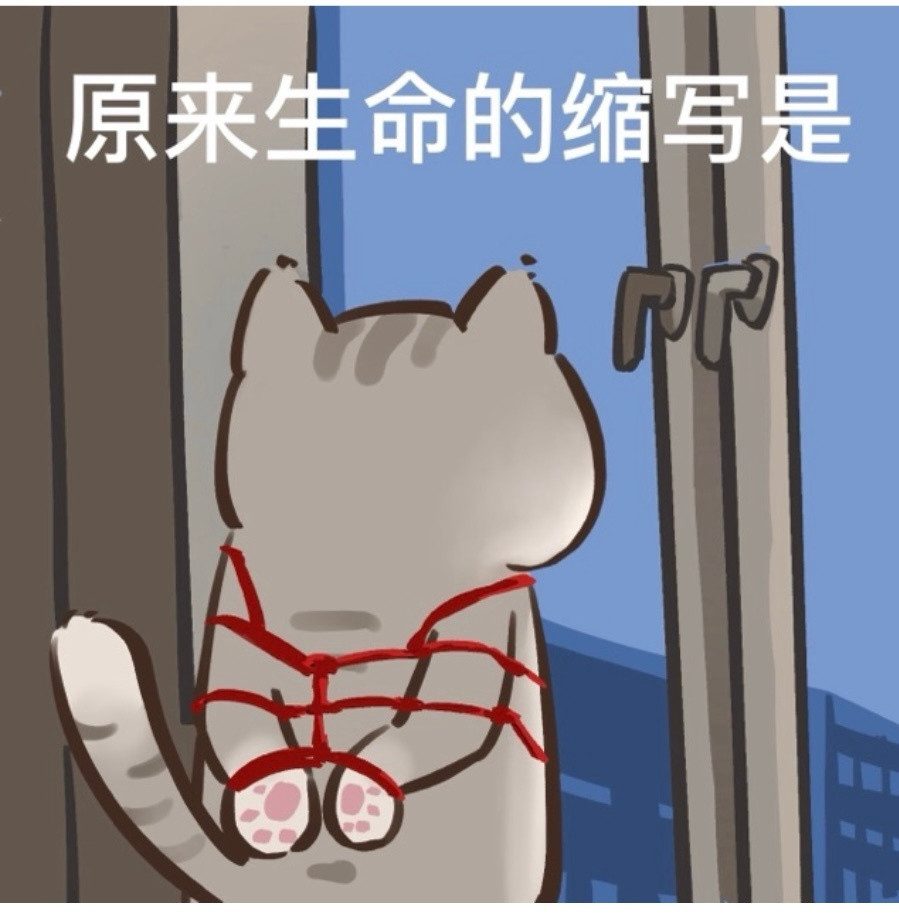 天选主人