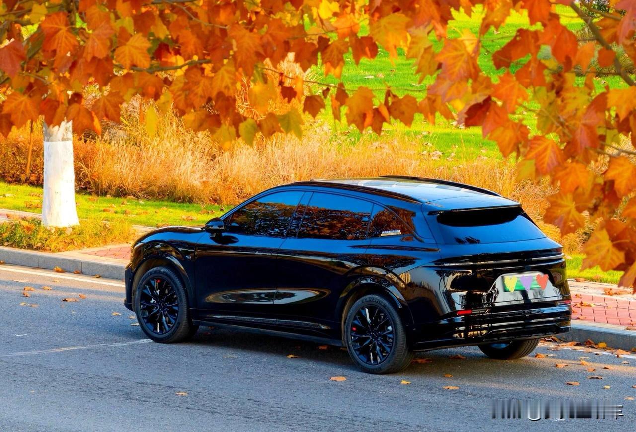 谁能拒绝一台颜值拉满的极氪7X黑武士！