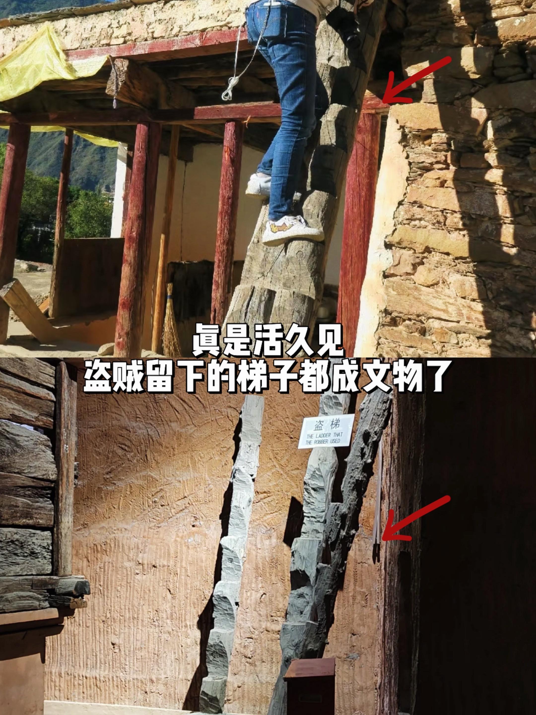 真是活久见，盗贼留下的梯子都成文物了。汉广陵王墓墙角靠着几个木梯，其年...