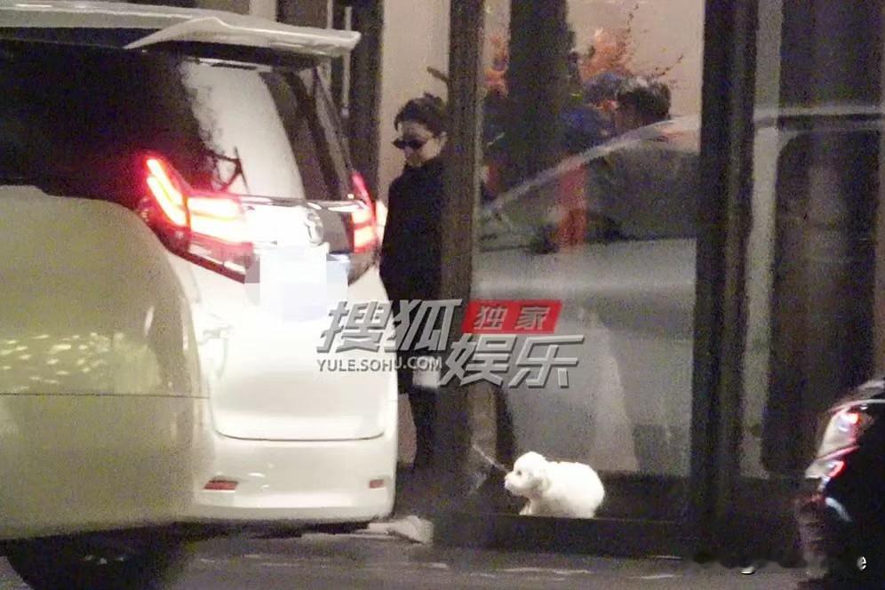 12月3日，刘亦菲38岁至今未婚，娱记拍到她晚上一身黑带着大墨镜，抱狗出门！虽