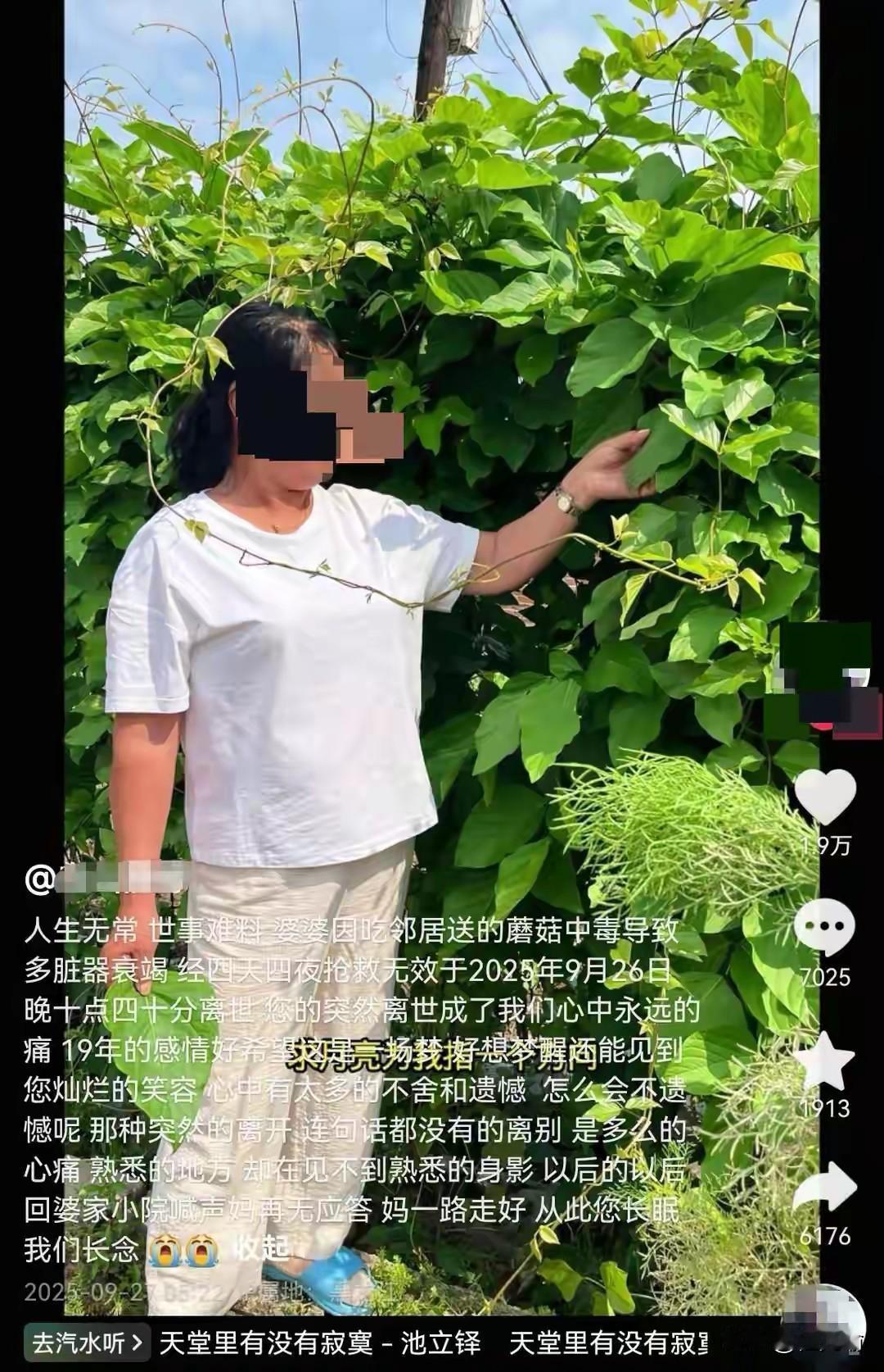 黑龙江，女子在网上发文说自己60多岁的婆婆因为吃了邻居送的野生蘑菇中毒，经四天四