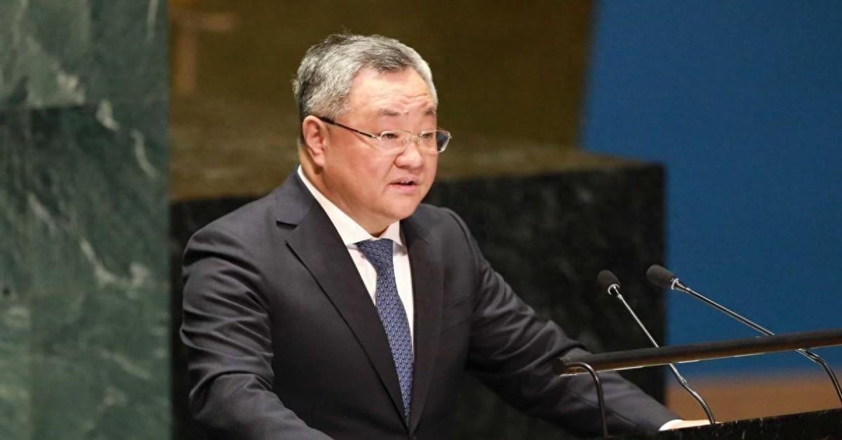 4月7日，联合国安理会的大门内，一场不见硝烟的交锋让全球彻底炸了锅。一份打着