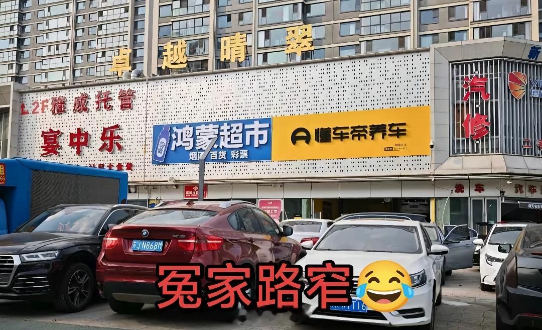 鸿蒙超市和懂车帝养车，这两家都开一块儿去了[笑着哭]​​​