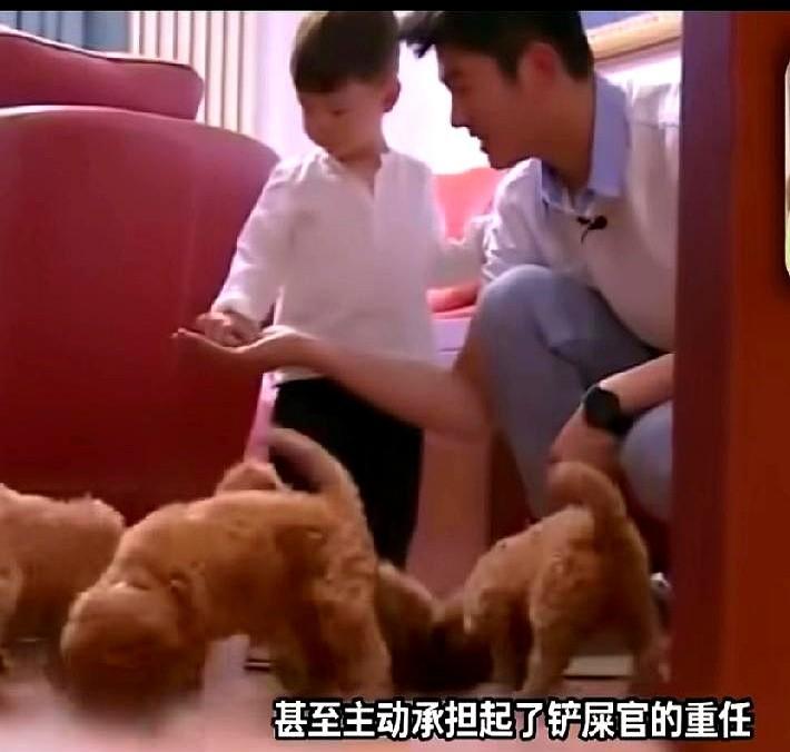 你还在比较彩礼和房产证的时候，霍思燕用一只狗就测出了杜江的底色。那只巨型泰迪冲