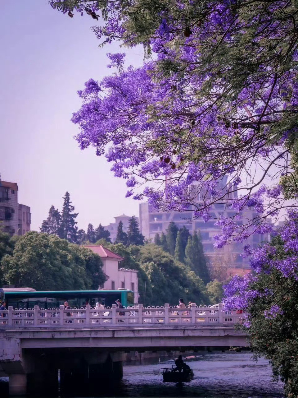 昆明，天高云阔充满花香；这里既有秀美的山水，又有清幽的小巷，像是一幅岁月静好