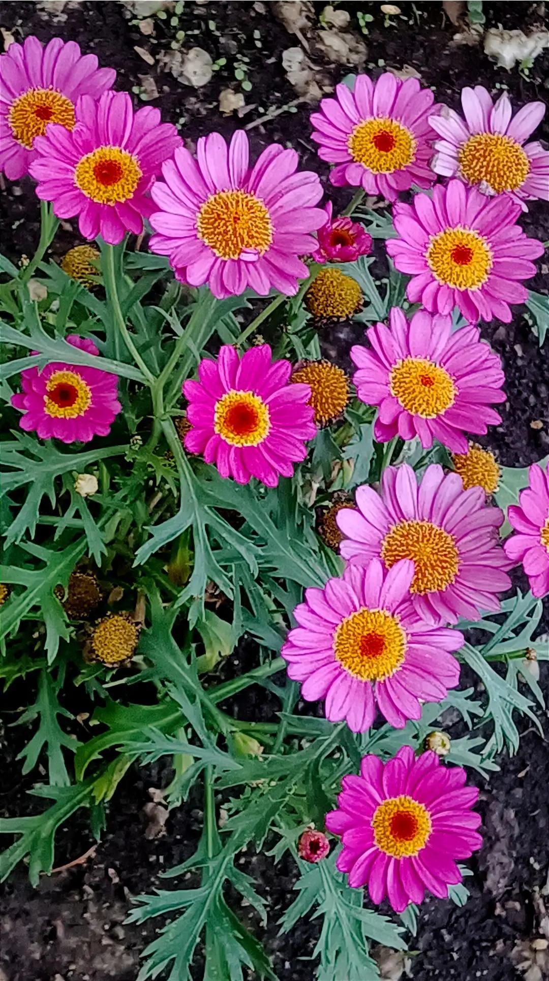 上个世纪六七十年代，新参加工作的工人，因为工种不同，劳动强度不一，工资差别是相当