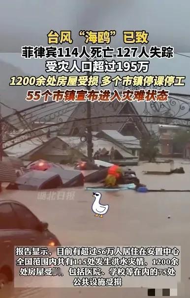 菲律宾icon全国进入灾难状态，广大网友都很清醒。点赞最多的一条评论是：“中