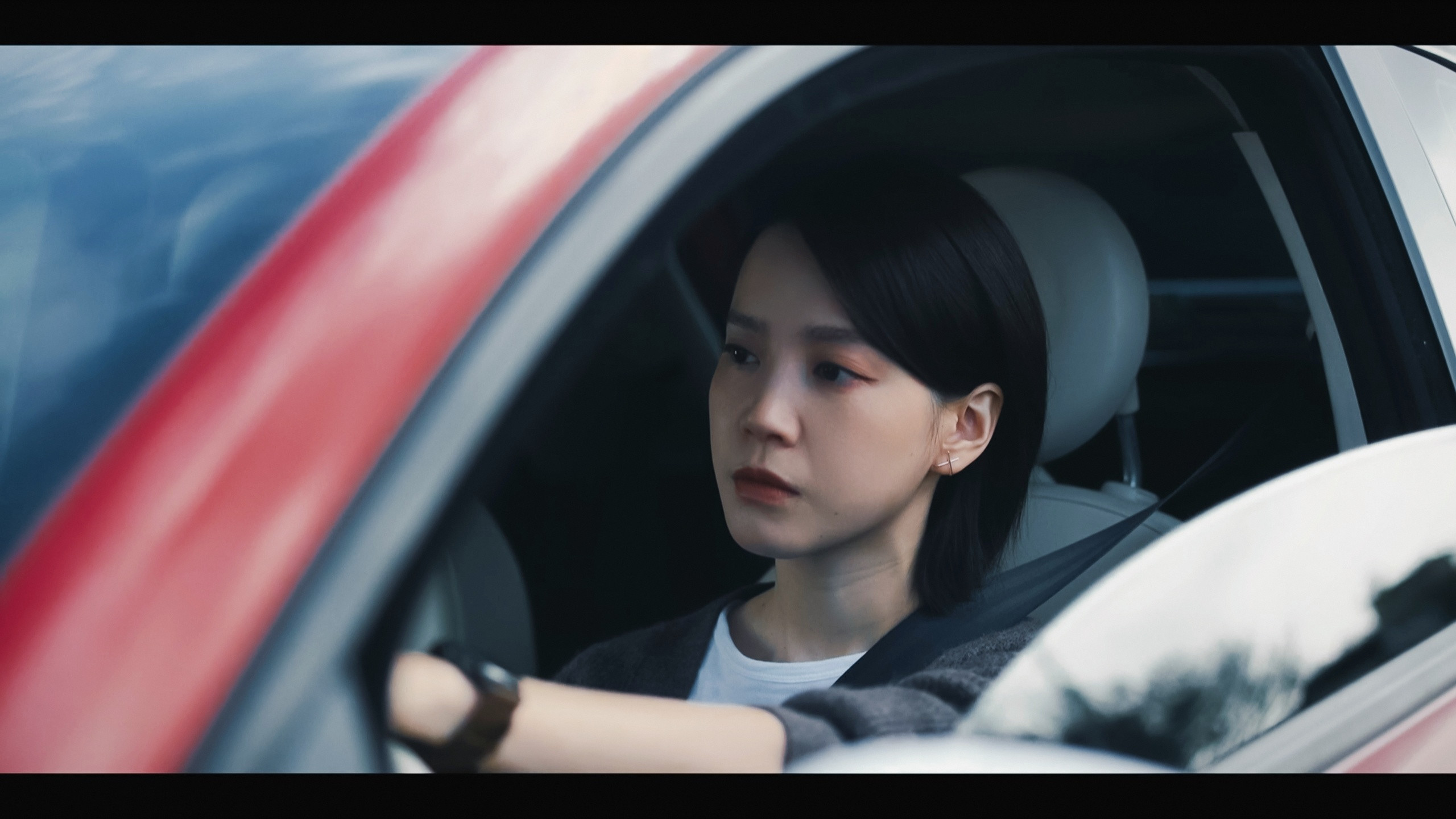 程乐这个角色长大版真的好帅…