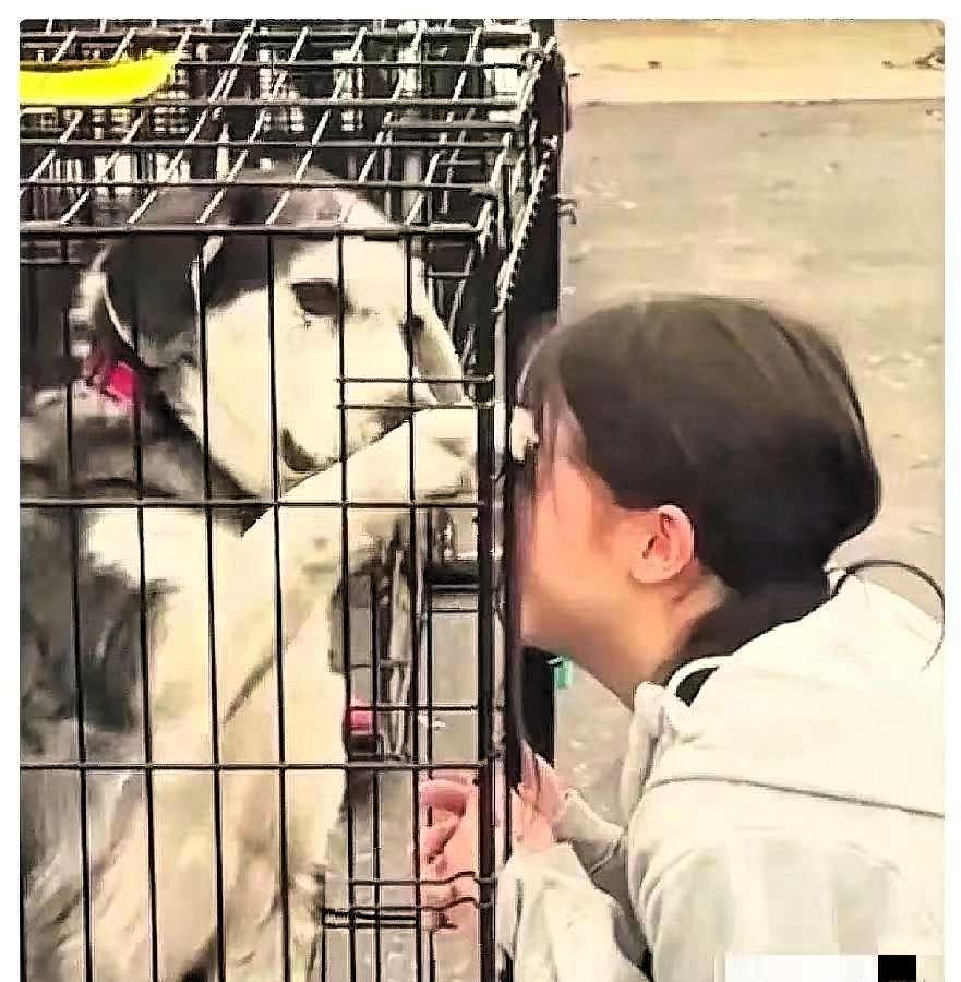 太有缘了！女子在狗市上找到了自己失踪两年的狗狗，女子情绪激动的抓着笼子哭着说“我