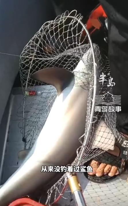 “活久见！”近日，山东青岛，一男子在胶州湾钓鱼时，鱼钩突然被咬住并且拖行了60多