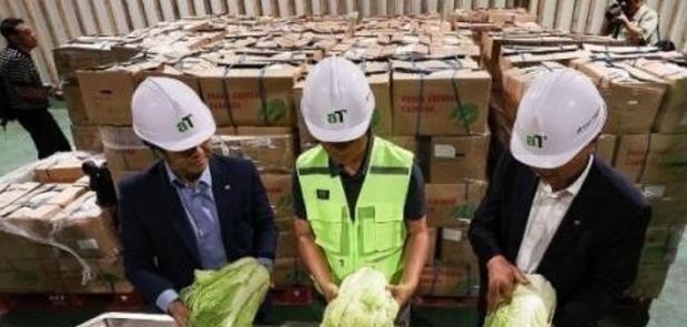 “中国要被我们拖垮了！”2024年，韩国上千人拒绝吃从中国进口的中国白菜，本想给