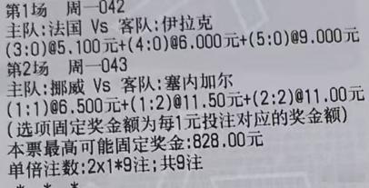 贪总足球：2串：042世界杯法国vs伊拉克043世界杯挪威vs塞内加尔