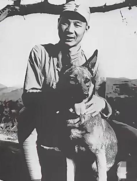 1939年5月，华北敌后战场，八路军战士攻下一座日军炮楼后，在断壁残垣里发现了一