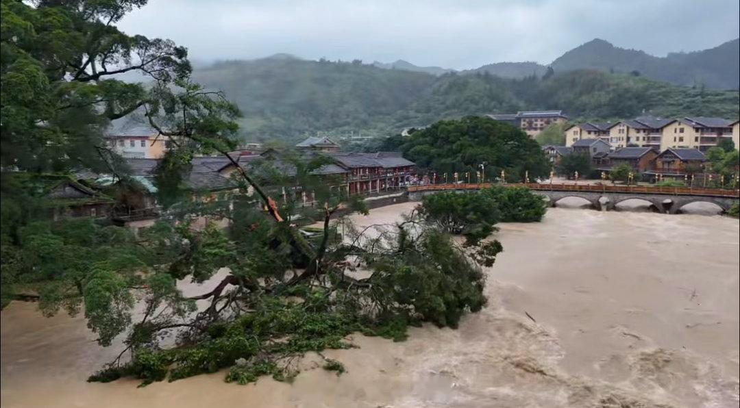 受台风“沙德尔”影响，云水谣景区内那棵600多岁的“八闽第一榕”已轰然倒下。有景观工程师指出，它的树