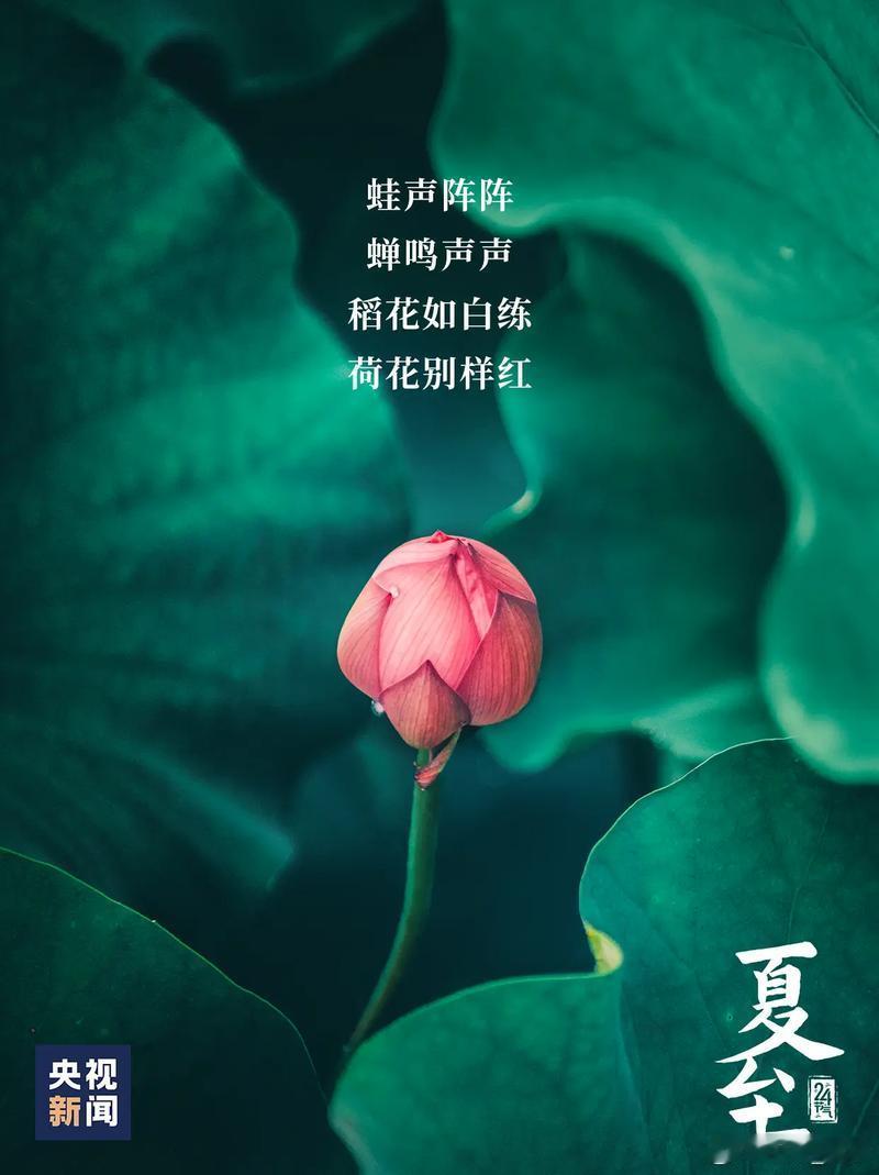 【家传古方传承美容养颜酒】【家传6宝不难找】人参30克当归30克玉竹30克黄精3