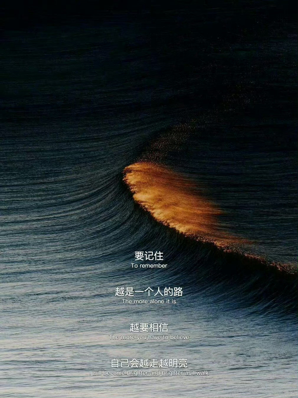 “永远不要仓促经过人间”