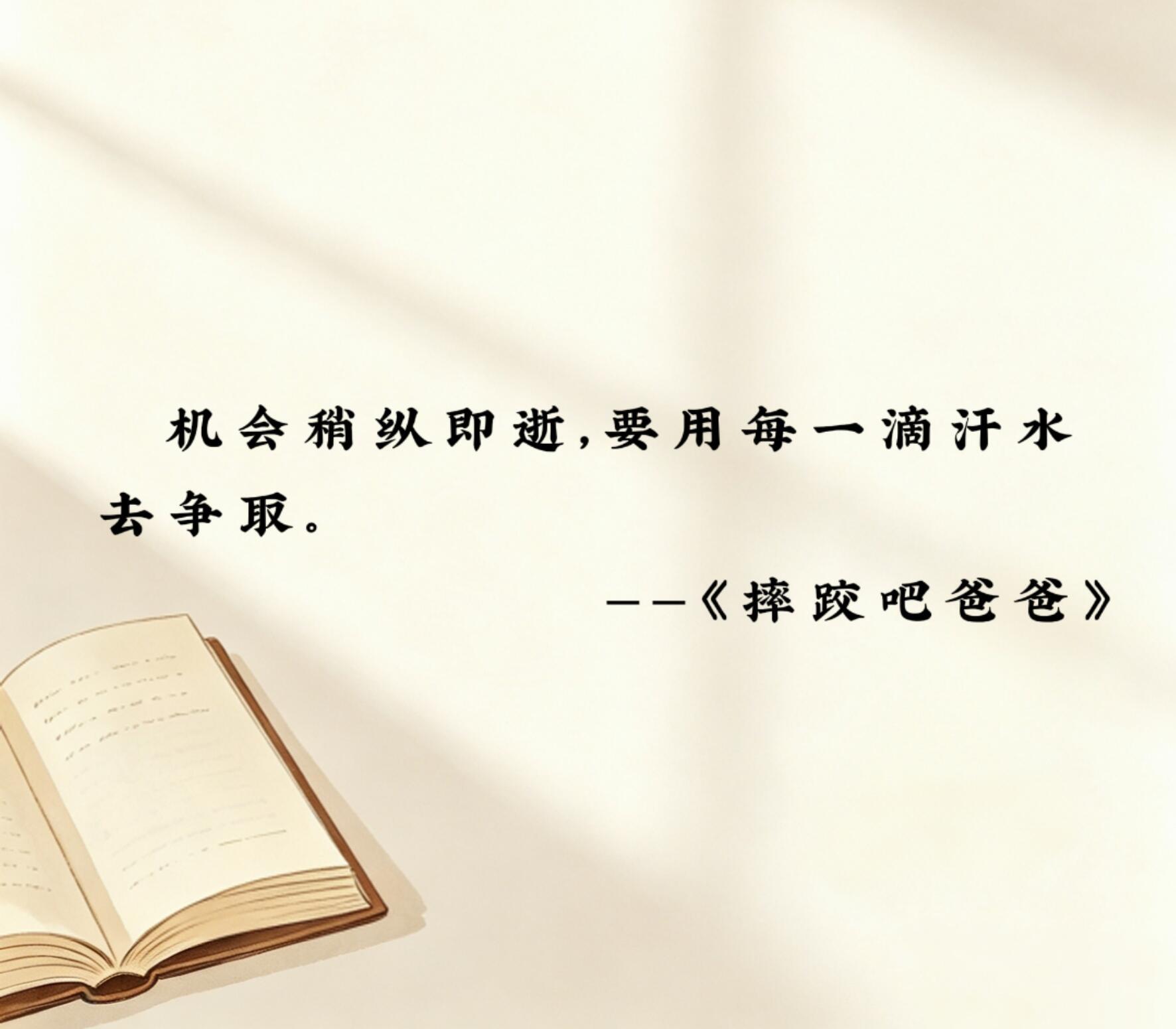 可直接抄的电影金句💯