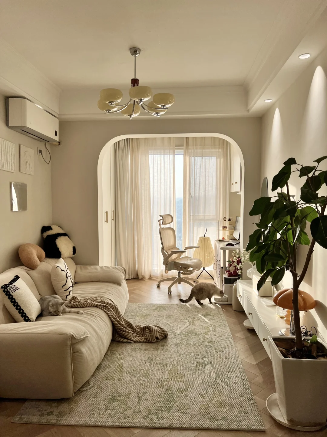 37平，独居3年，一个人住很不错啦！