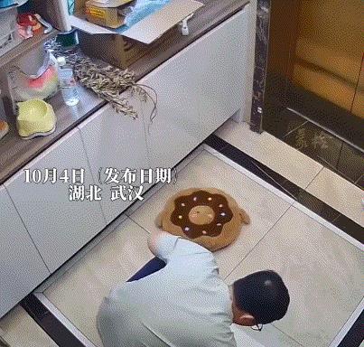 万万没有想到，湖北武汉，一男子在家和自己养了两年的猫咪玩耍，殊不知玩着玩着，这猫