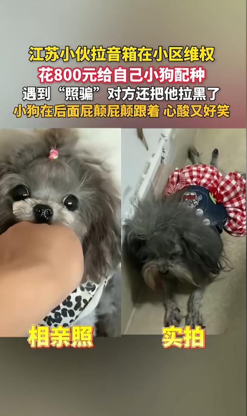“骗婚的风吹到了宠物圈！”近日，江苏，一男子拉着音响到别人小区里喊话，身后还有一