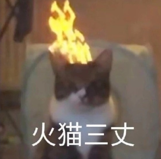 女装聚酯纤维，能不能有人来管管女装，便宜的衣服聚酯纤维货不对板我就忍了，结果贵