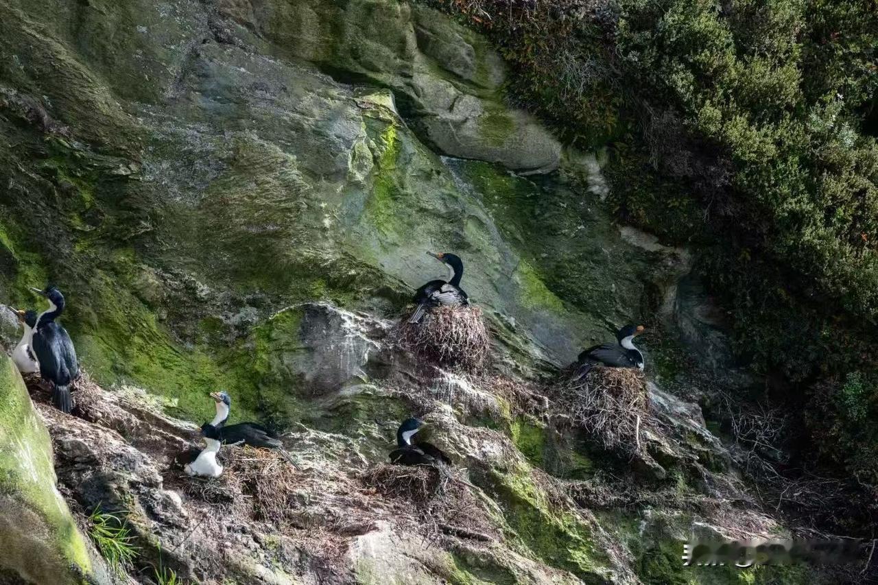 周一持续低迷，武汉地铁客流量未超过400万人次，为397万多[赞][赞][赞]